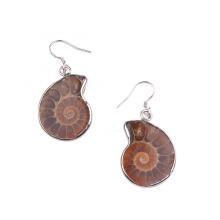 Conch Shell Fossils Animal Dangle Hook Earring